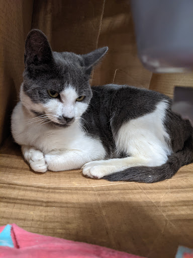 Pet Supply Store «PetSmart», reviews and photos, 13000 Aurora Ave N, Seattle, WA 98133, USA