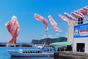 A nationally designated special natural monument "The natural habitat of the Red seabream in Tai-no-Ura". image