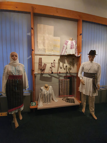 Muzeul de Istorie și Etnografie - Școală