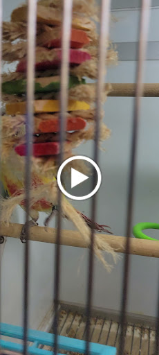 Pet Supply Store «Pet Supplies Plus», reviews and photos, 2789 W Market St, Fairlawn, OH 44333, USA