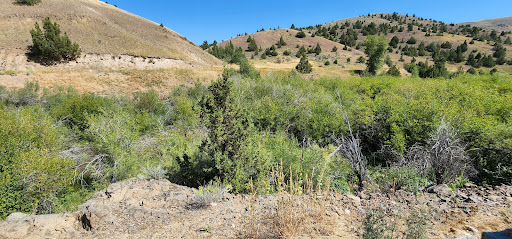 Place of Discovery, Alder Gulch Rd, Ennis, MT 59729