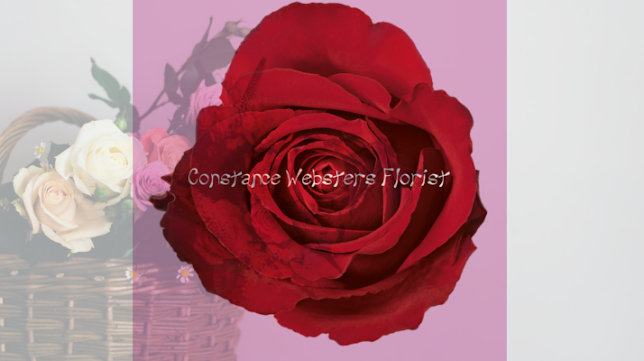 Reviews of Constance Websters Florist in Norwich - Florist