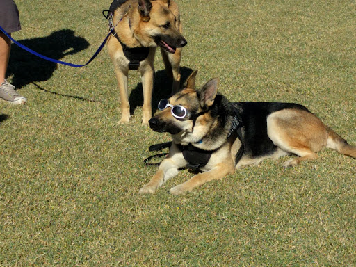 Park «Tumbleweed Park», reviews and photos, 745 E Germann Rd, Chandler, AZ 85286, USA
