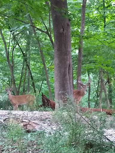 Park «Bever Park», reviews and photos, 2700 Bever Ave SE, Cedar Rapids, IA 52403, USA