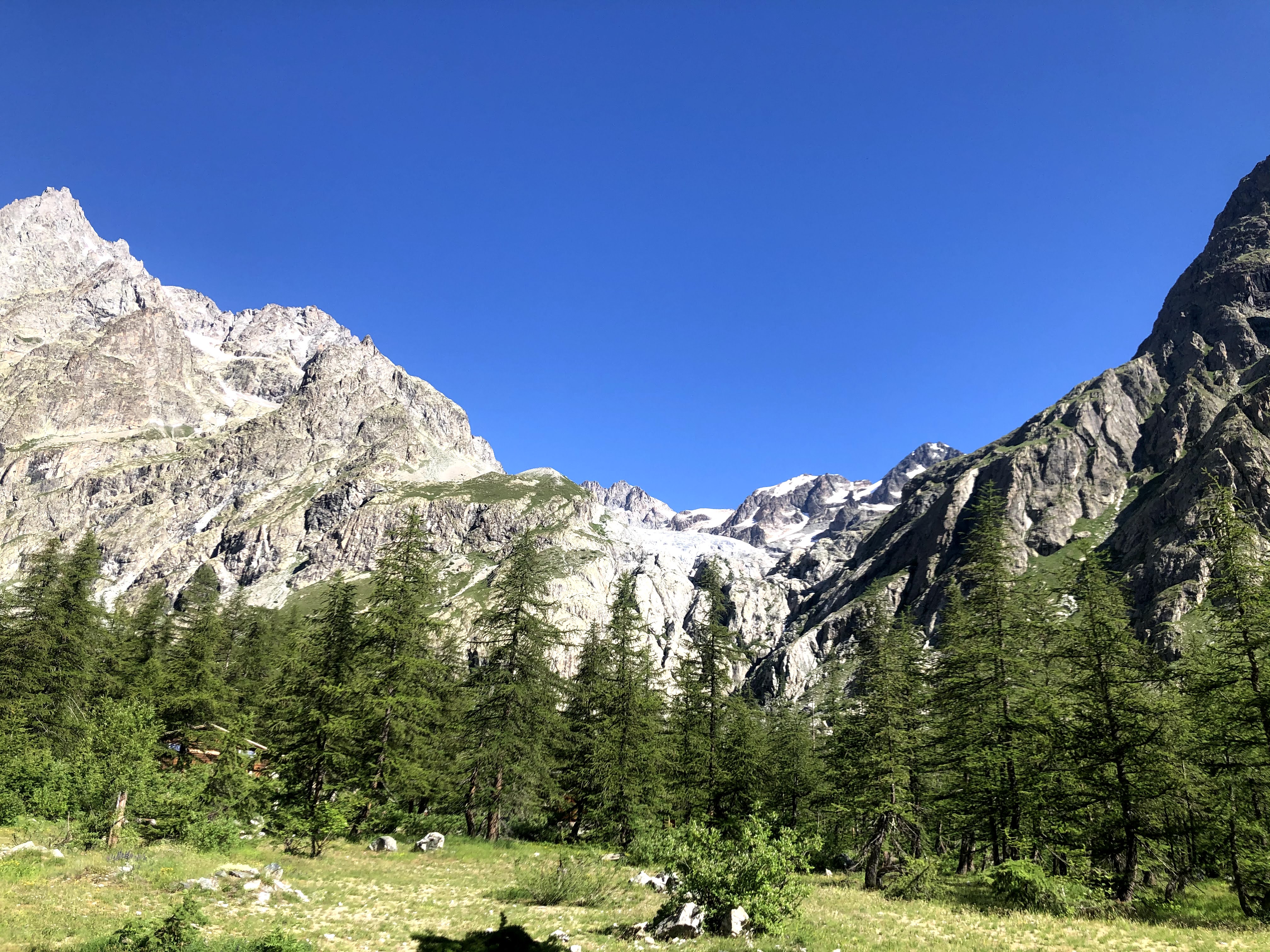 Photo n° 1 de l'avis de P. fait le 27/07/2020 à 21:21