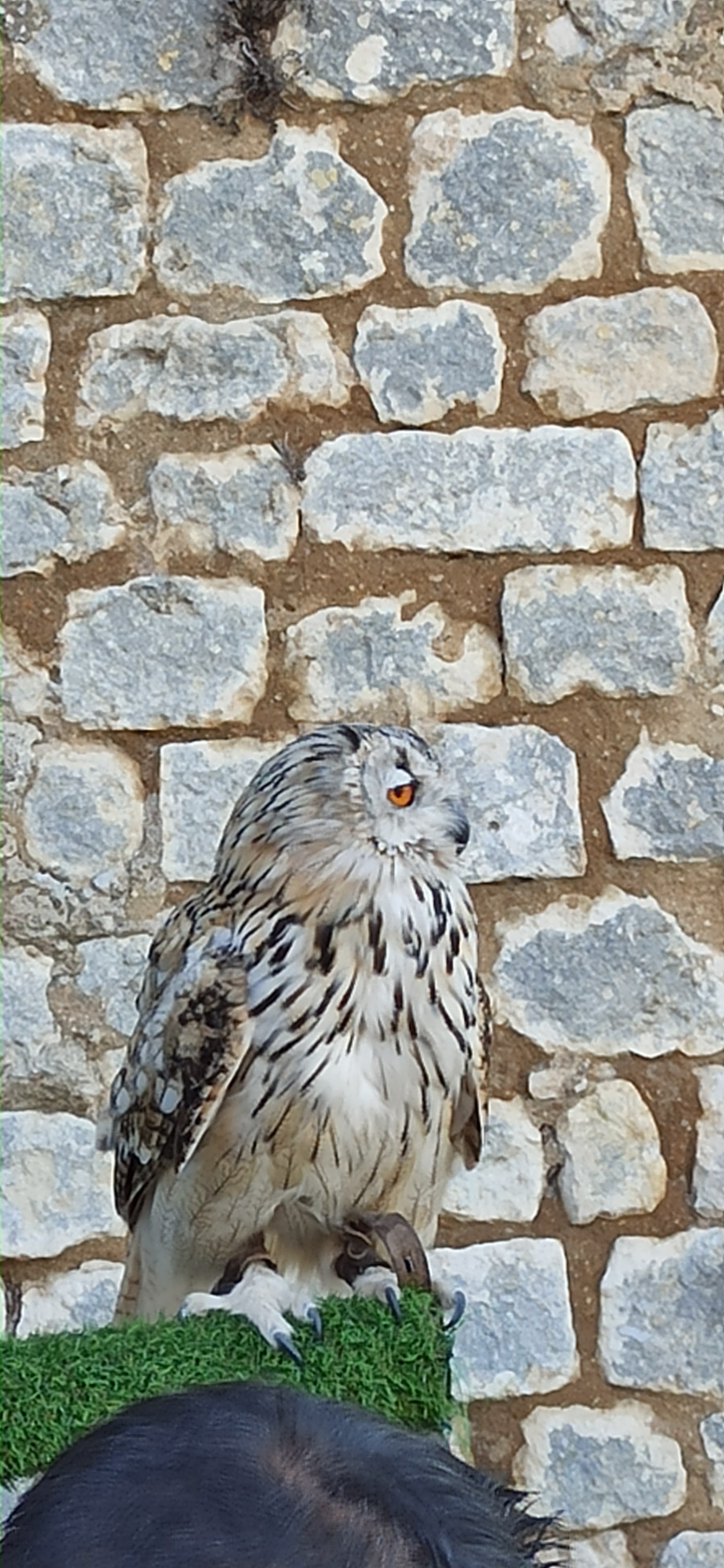 Photo n° 3 de l'avis de Pascal.o fait le 25/08/2021 à 19:28
