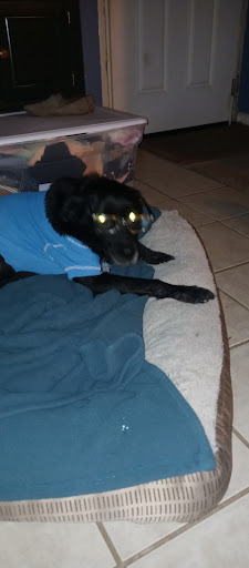 Sporting Goods Store «Academy Sports + Outdoors», reviews and photos, 61107 Airport Rd, Slidell, LA 70460, USA