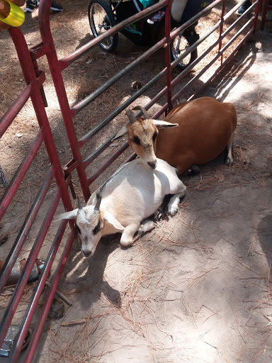 Park «Kingwood Town Center Park», reviews and photos, 8 N Main St, Kingwood, TX 77339, USA