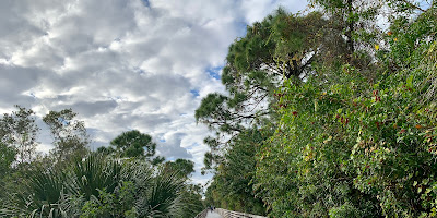 Brevard Zoo Linear Park