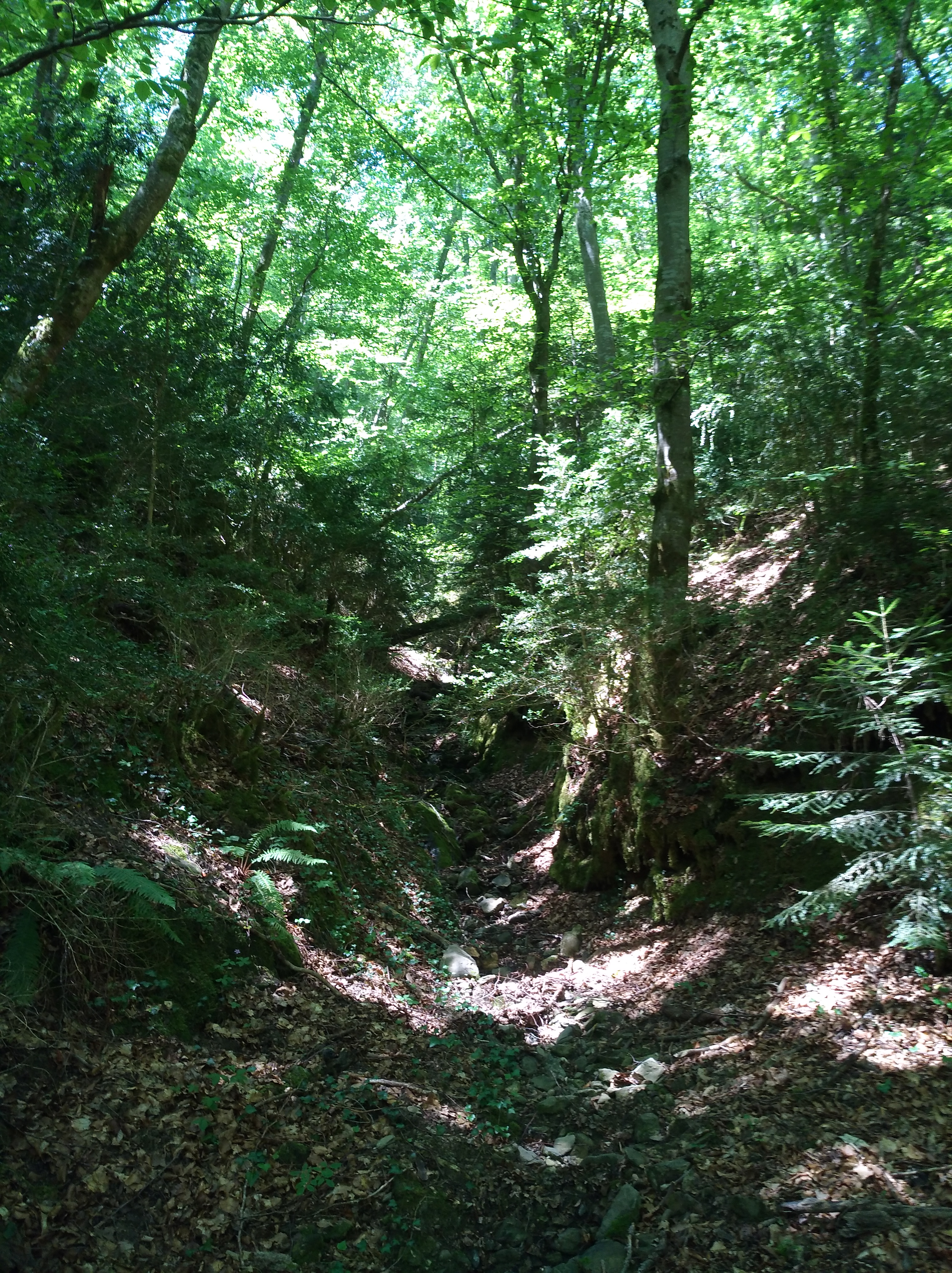Photo n° 2 de l'avis de Nadine.o fait le 17/07/2018 à 15:02