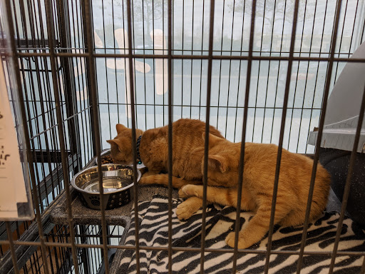 Pet Supply Store «Pet Supplies Plus», reviews and photos, 8170 E Broad St, Reynoldsburg, OH 43068, USA