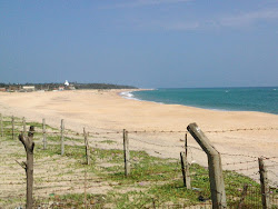 Jalaldeen Square Beach'in fotoğrafı vahşi alan