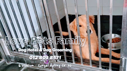 Love Pets Family Dog Boarding Hotel