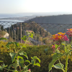 Photo n°2 de l'avis de daniele.r fait le 07/10/2017 à 23:32 sur le  Villaggio Alkantara à Giardini Naxos