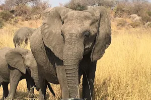 Ruaha National Park image