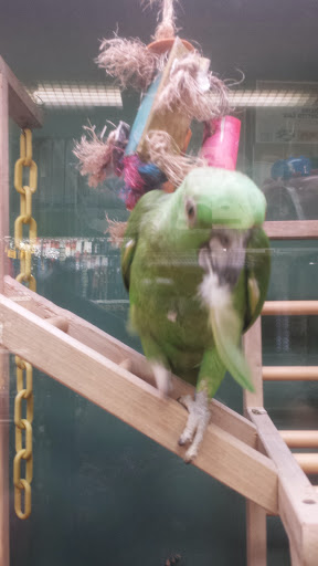 Pet Store «Wilmette Pet Center LLC», reviews and photos, 625 Green Bay Rd, Wilmette, IL 60091, USA