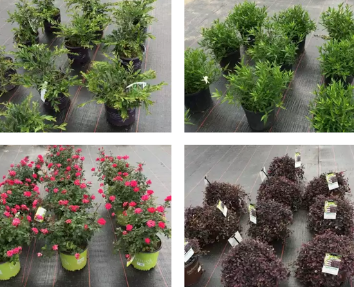 Big Valley Outdoor Store