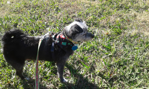 Park «Bob Cooke Park», reviews and photos, 2025 Craig Hanking Dr, Arlington, TX 76010, USA