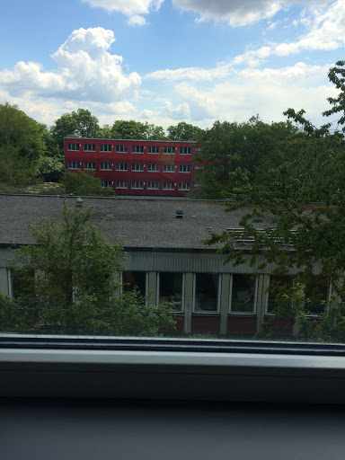 Staatl. Max-Planck-Gymnasium München, Ausbildungsrichtung: NTG; SG