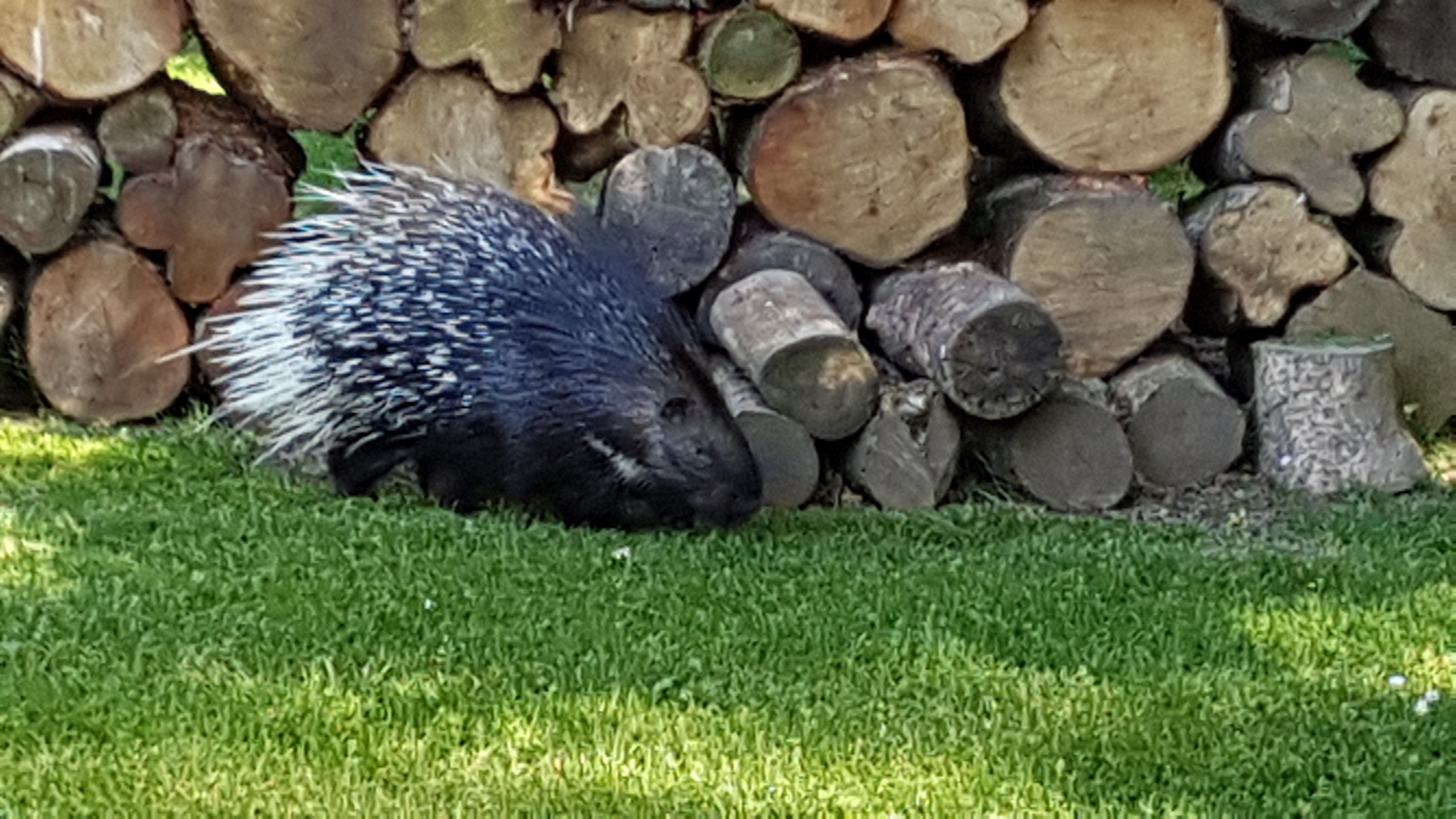 Photo n° 12 de l'avis de Dominique.A fait le 21/05/2019 à 20:35