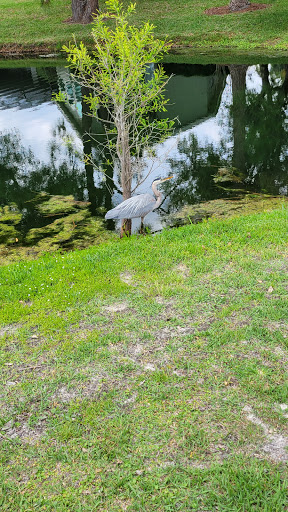 Golf Club «Crescent Oaks Golf Club», reviews and photos, 3300 Crescent Oaks Blvd, Tarpon Springs, FL 34688, USA