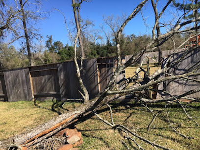 Highpoint Tree Care | Tree Service & Tree Removal Cypress