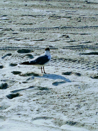 Water Park «OC Waterpark», reviews and photos, 728 Boardwalk, Ocean City, NJ 08226, USA