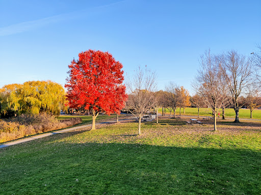 Park «Danehy Park», reviews and photos, 99 Sherman St, Cambridge, MA 02138, USA