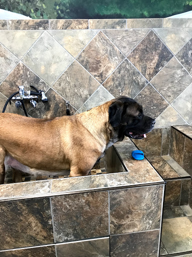 Pet Supply Store «Pet Supermarket, Inc.», reviews and photos, 1052 Peachtree Industrial Blvd, Suwanee, GA 30024, USA