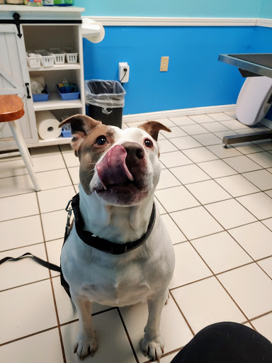 Pet Supply Store «Petco Animal Supplies», reviews and photos, 300 Quaker Ln #3, Warwick, RI 02886, USA