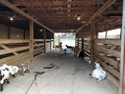 Park «Lake Tobias Wildlife Park», reviews and photos, 760 Tobias Road, Halifax, PA 17032, USA