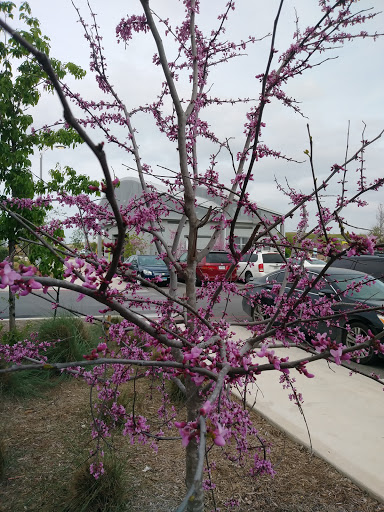 Park «Pearsall Park», reviews and photos, 4838 Old Pearsall Rd, San Antonio, TX 78242, USA