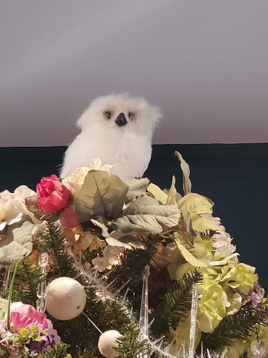 Museum «Morven Museum & Garden», reviews and photos, 55 Stockton St, Princeton, NJ 08540, USA