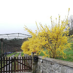 Photo n°7 de l'avis de Angelo.a fait le 18/03/2019 à 15:13 sur le  Agriturismo Il Filo di Paglia à Pavareto