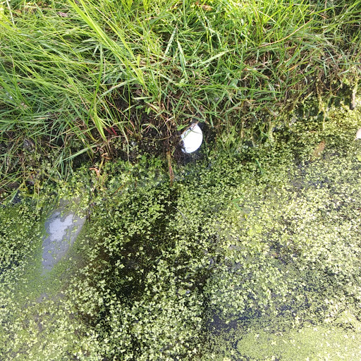 Golf Club «Marysville Golf Club», reviews and photos, 13683 OH-38, Marysville, OH 43040, USA