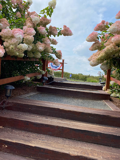 Winery «Paradise Hills Vineyard & Winery», reviews and photos, 15 Windswept Hill Rd, Wallingford, CT 06492, USA