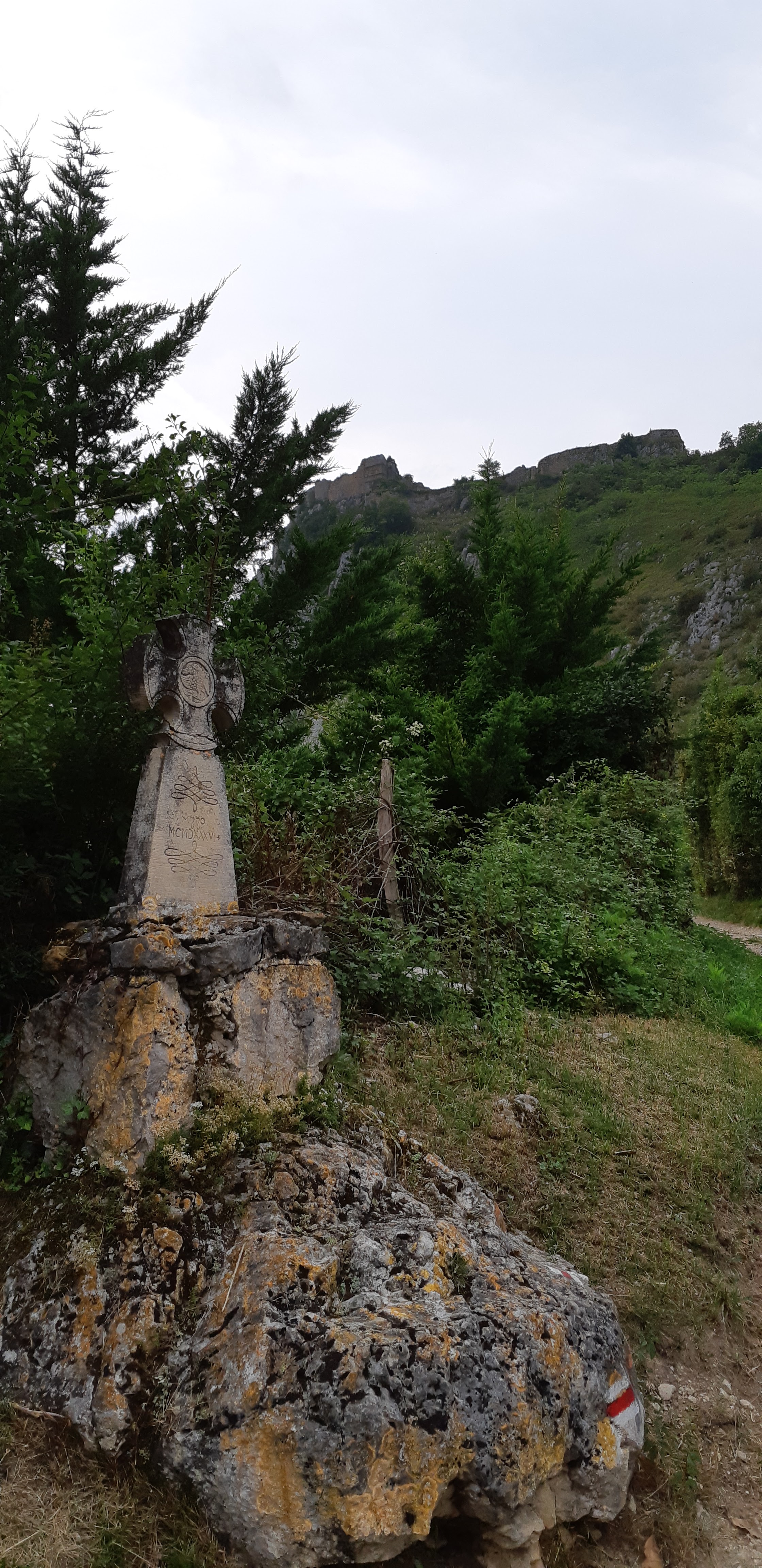 Photo n° 6 de l'avis de Zyzomis. fait le 30/07/2018 à 11:24