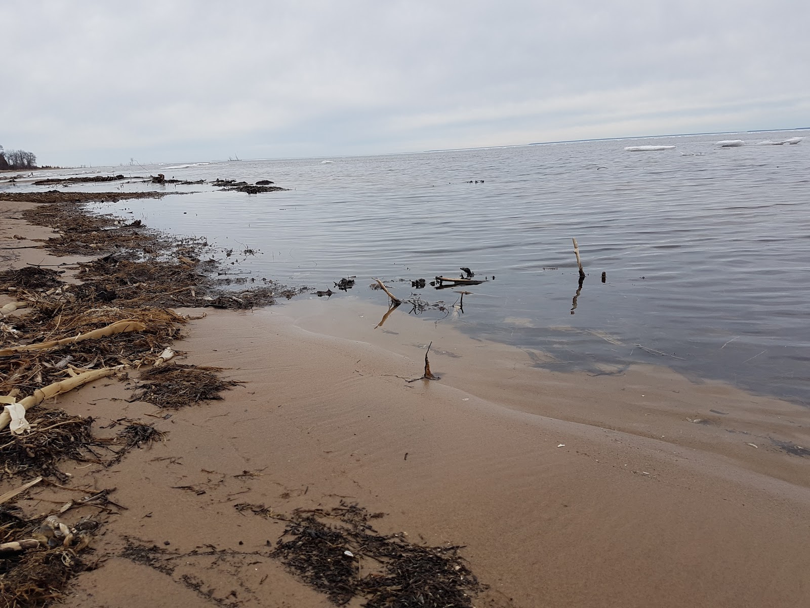 Bailey County Beach photo #7