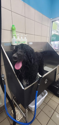 Pet Supplies Plus Orland Park - Photo 9 - Car repair in Orland Park, IL, Chicago