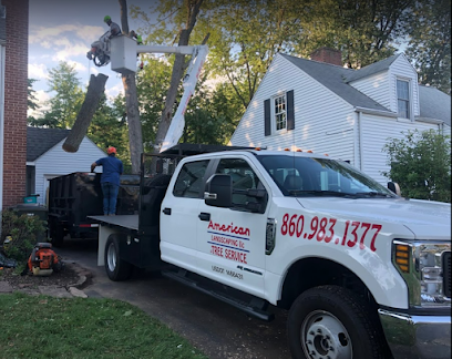 American Landscaping Tree Services