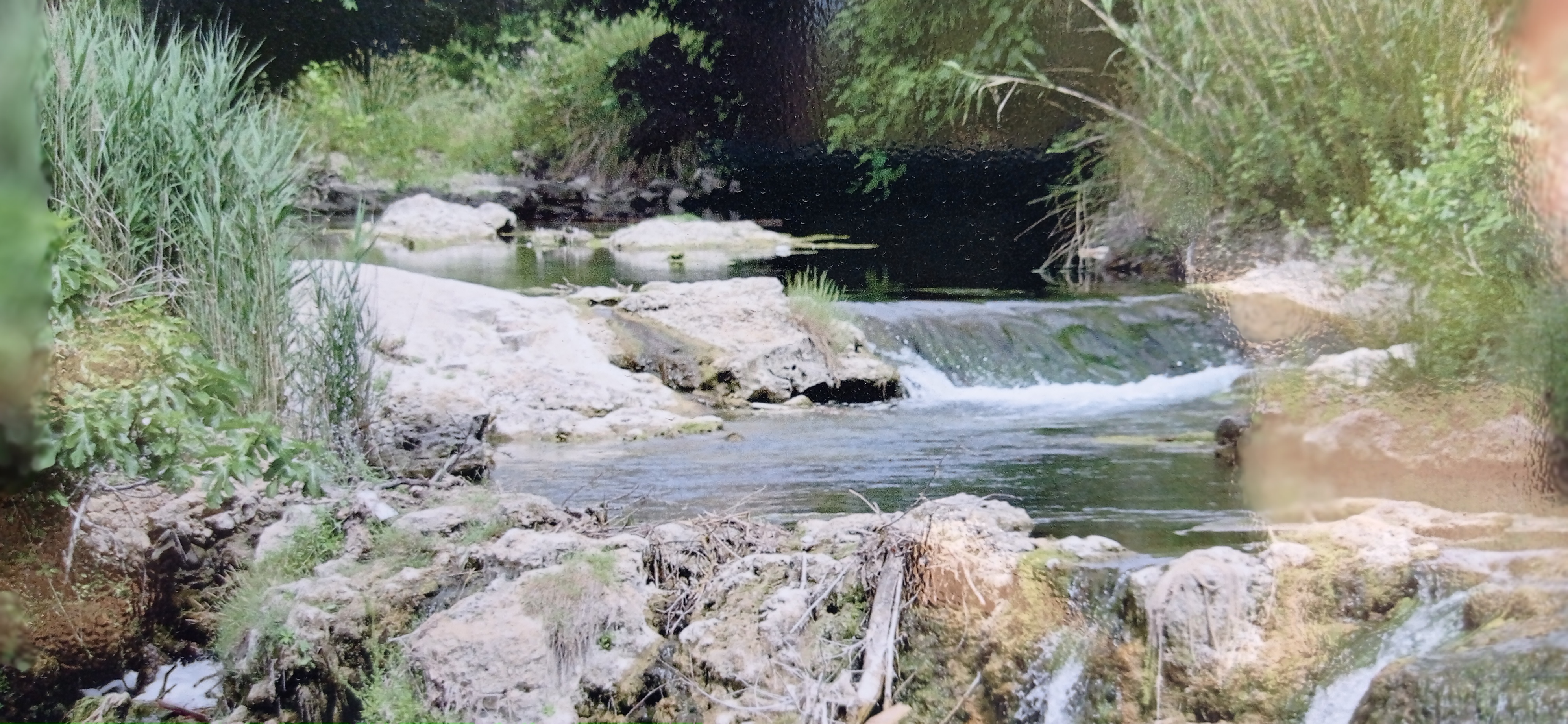 Photo n° 4 de l'avis de Laurent.u fait le 05/08/2021 à 14:47
