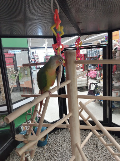 Pet Supply Store «Petco Animal Supplies», reviews and photos, 12014 SW 88th St, Miami, FL 33186, USA