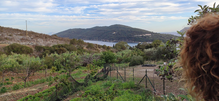 Extérieur Appartamento vacanze Casa Giuliana 57031 Lacona