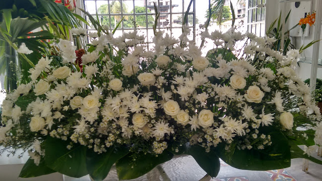 Fátima Flores - Fortaleza