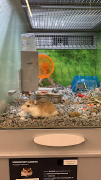 PetSmart - Photo 7 - Car repair in Lodi, CA, Stockton