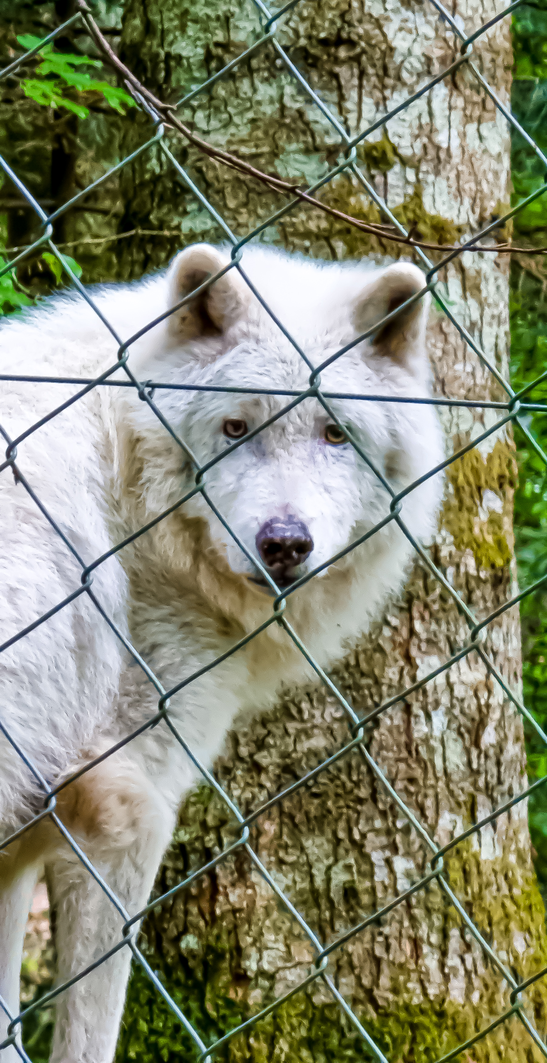 Photo n° 1 de l'avis de Greg.D fait le 26/06/2023 à 15:07