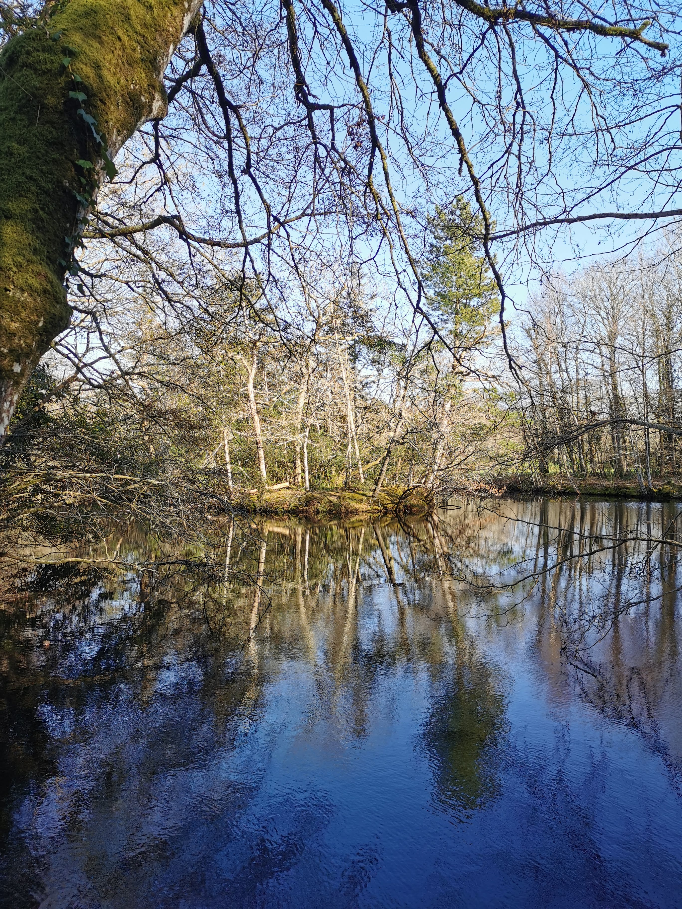 Photo n° 2 de l'avis de corine.a fait le 28/03/2021 à 16:21