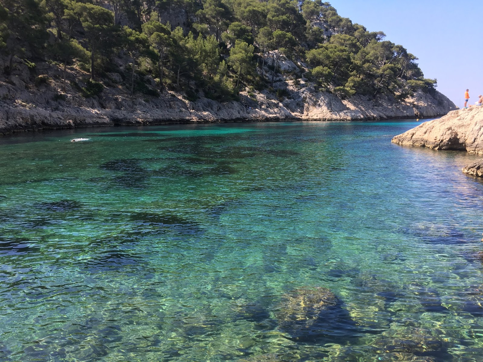 Foto di Calanque de Port Pin zona selvaggia
