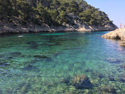 Foto di Calanque de Port Pin zona selvaggia