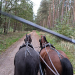 Photo n°6 de l'avis de Valerie.r fait le 14/10/2020 à 05:33 sur le  Landhotel Mehrin - Thomas Schulz à Kalbe